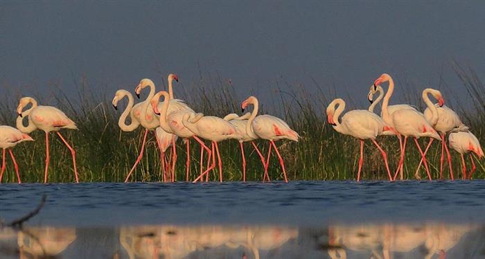 Rann of Kutch 3